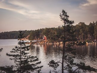 En guide till olika sätt att följa Sveriges EM-kval matcher online och offline illustration